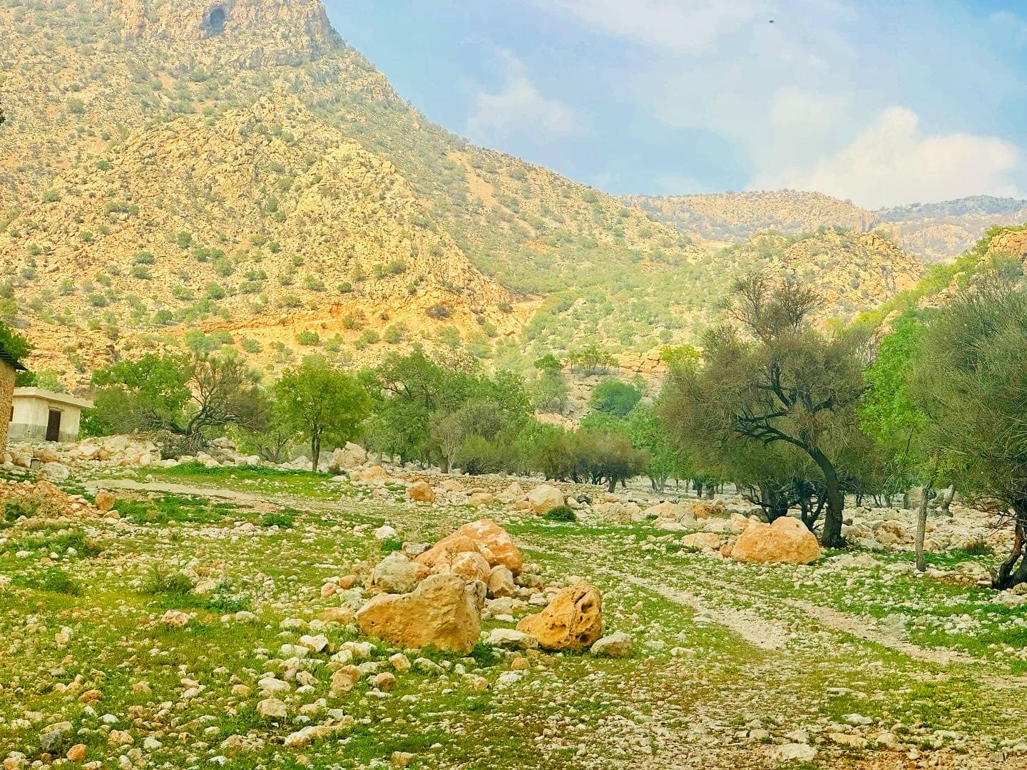 Rugged Mountain Scenery