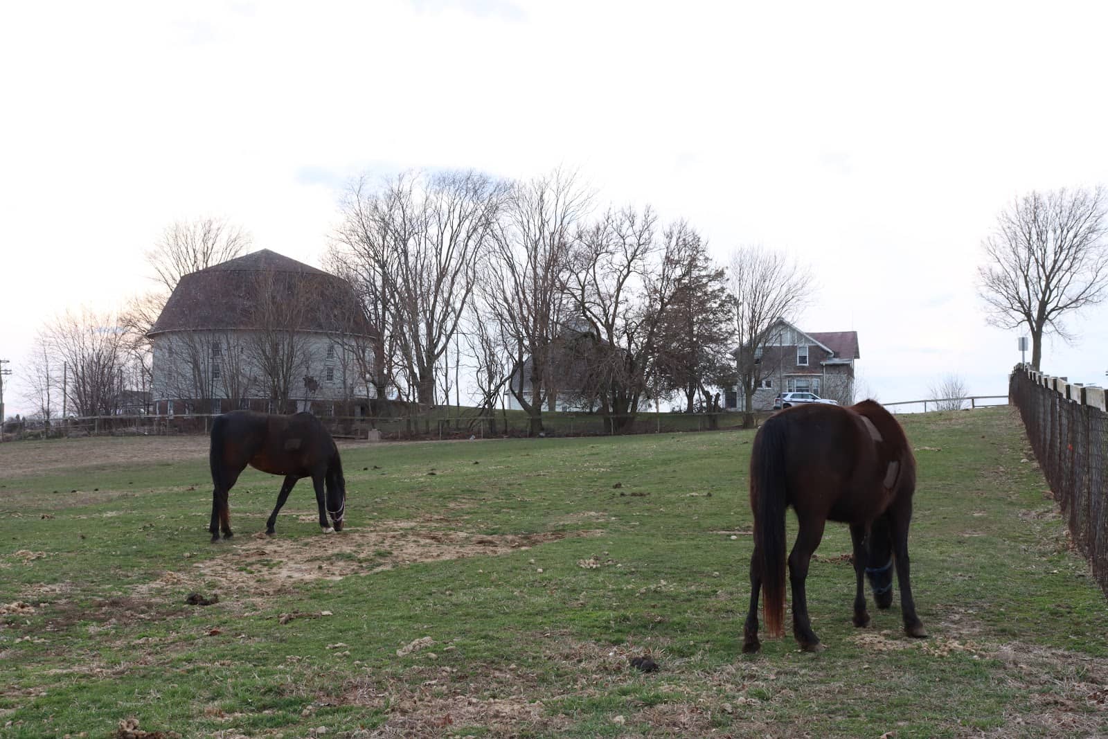 Open Sky for Cloud Gazing