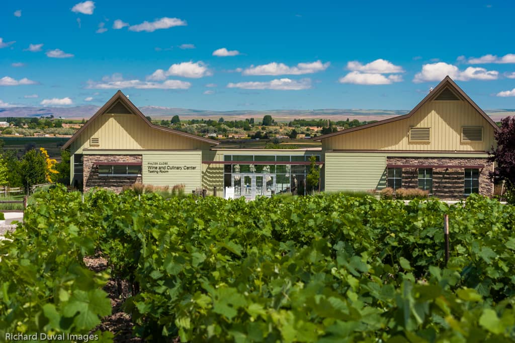 Gourmet Patio Dining