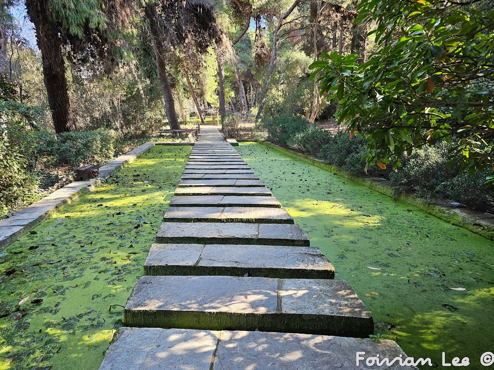 Diomidis Botanical Garden - Image 1