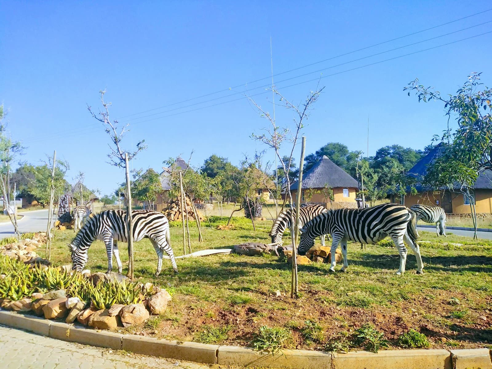Cradle Moon Lakeside Reserve Johannesburg - Image 1
