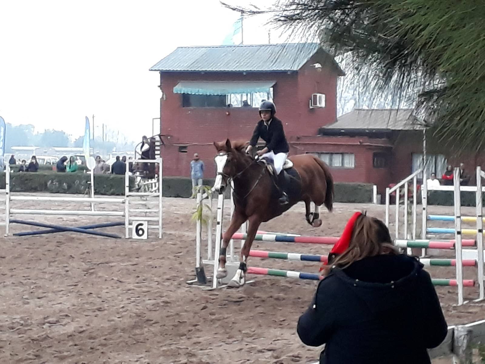 Gourmet and Artisan Fairs