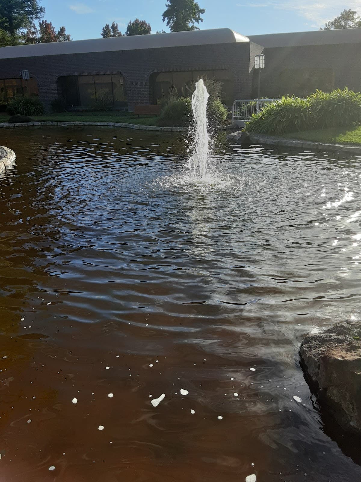 Sonoma Valley - Image 1