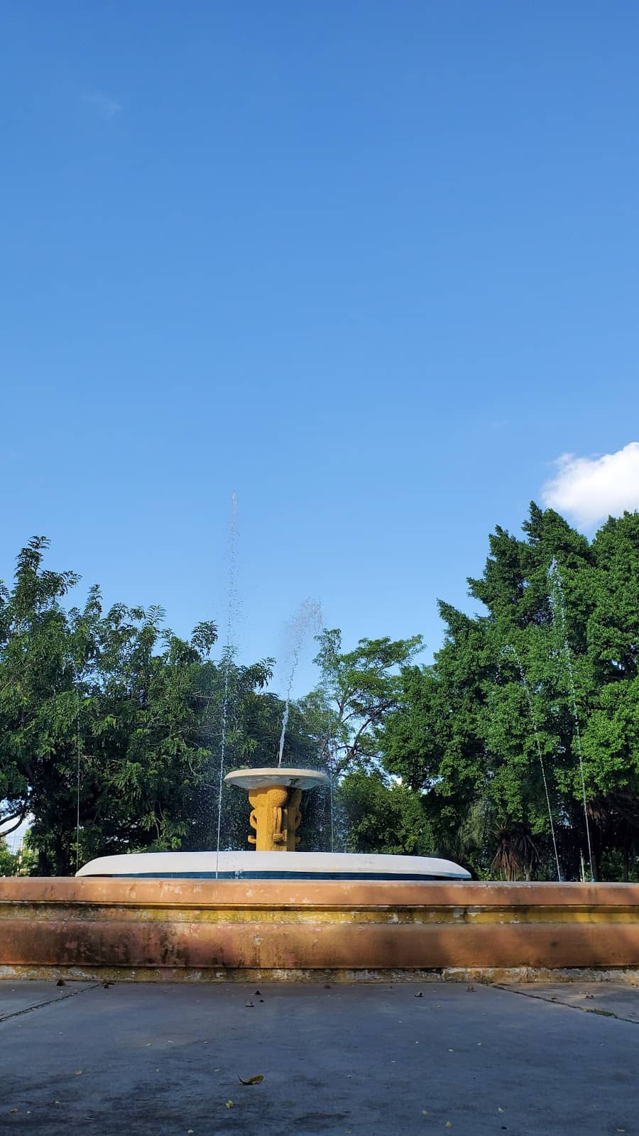 Vertical photo