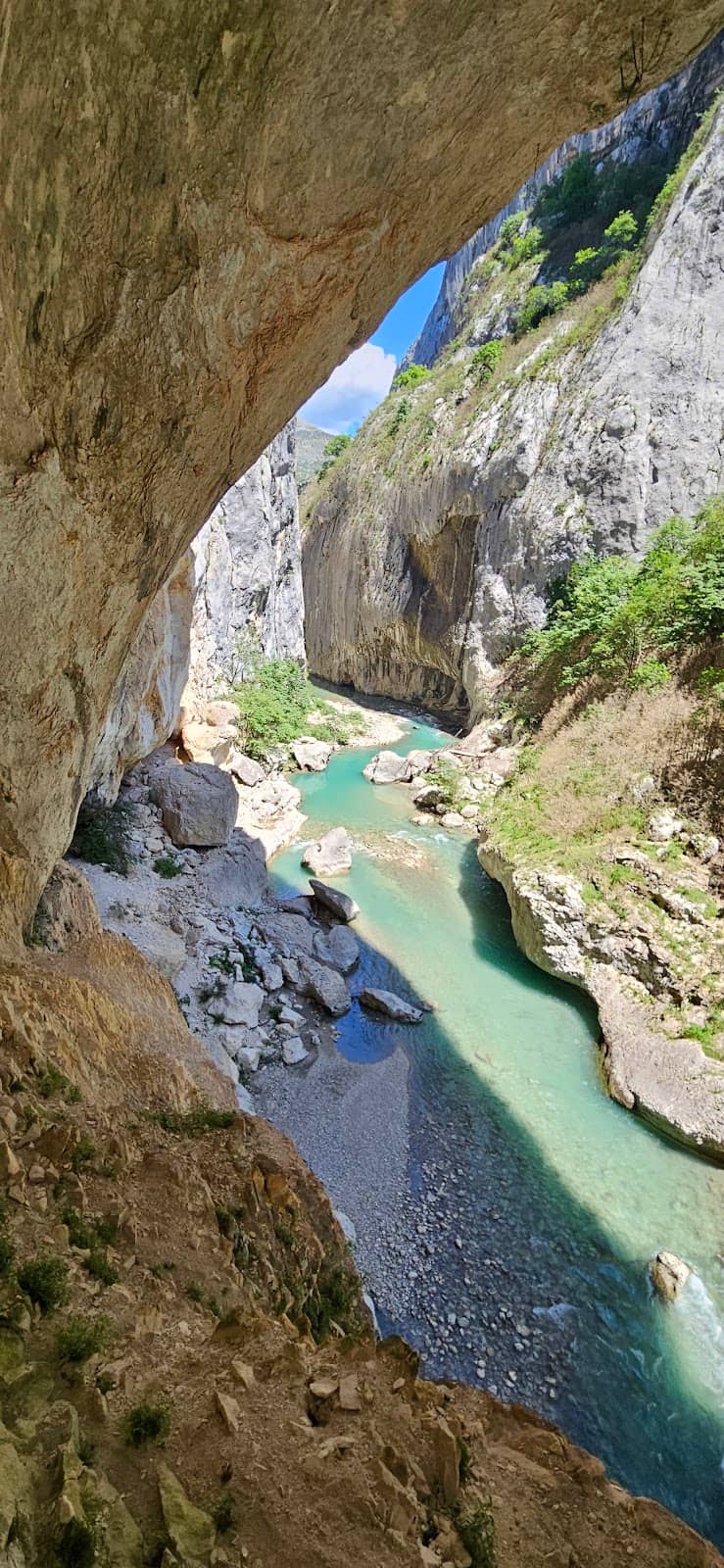 Vertical photo