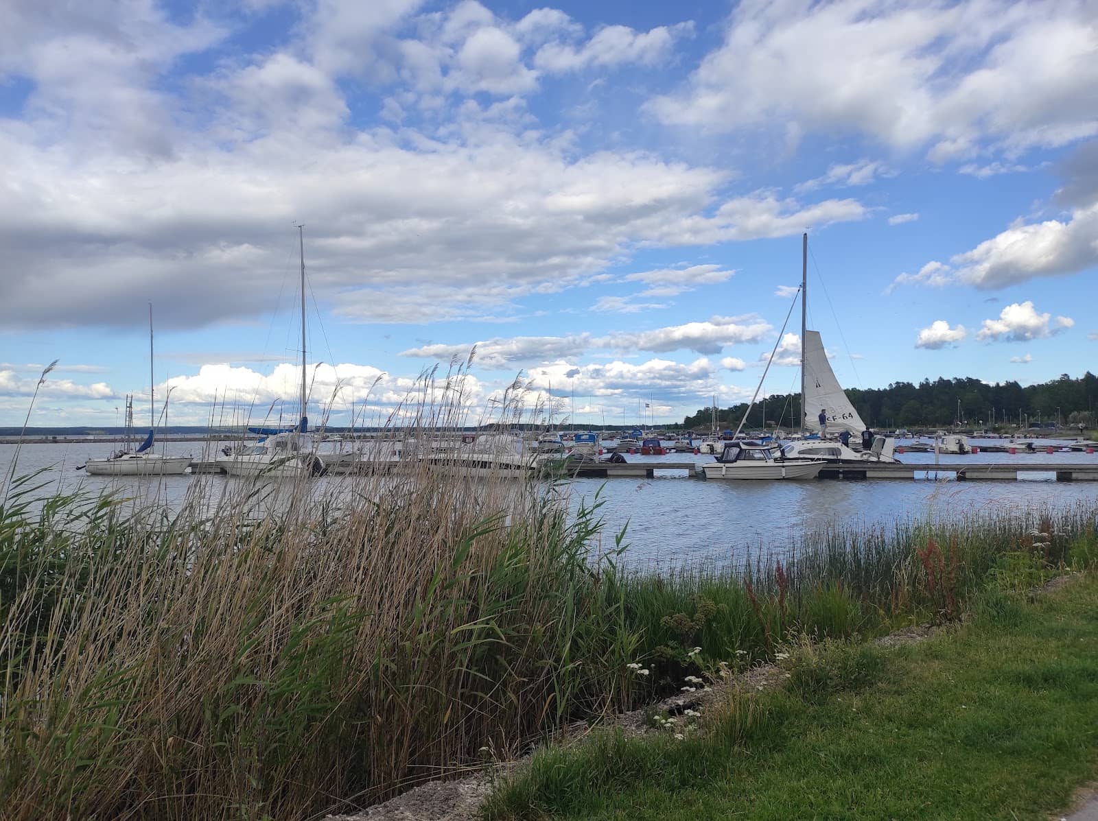 Dog-Friendly Walking Paths