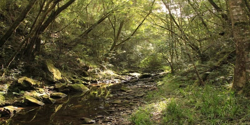 Brackenburn Private Nature Reserve - Image 1