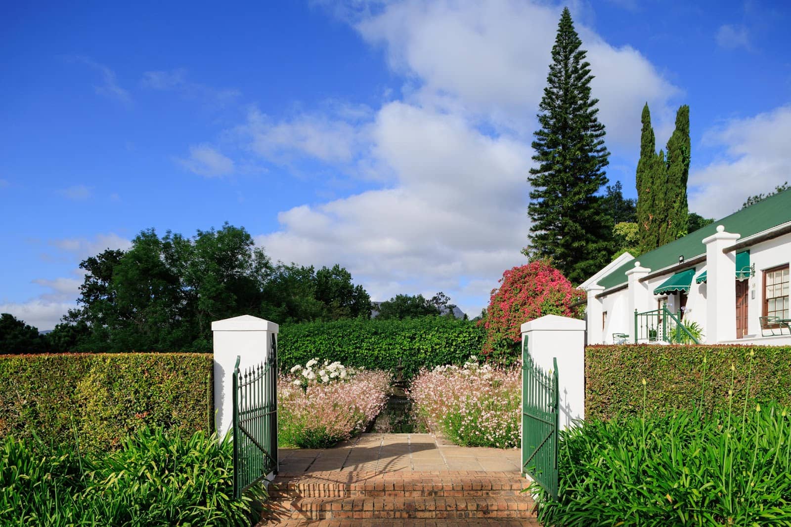 Warm & Welcoming Staff