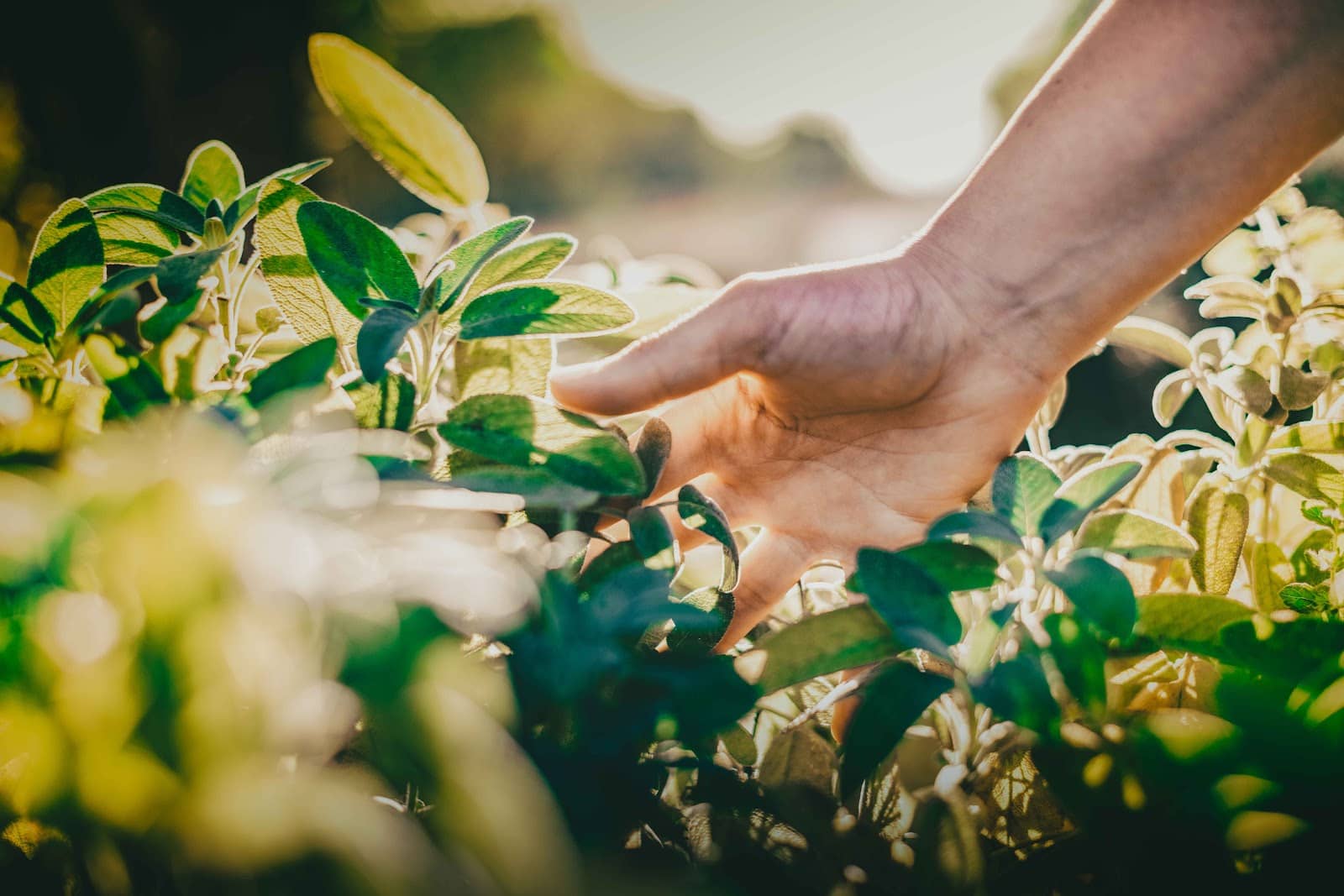 Revitalizing Treatment Options