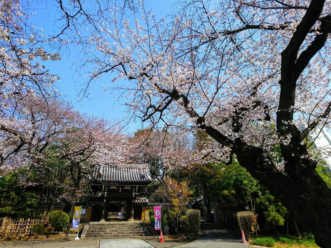 Zoshigaya Tokyo - Image 1