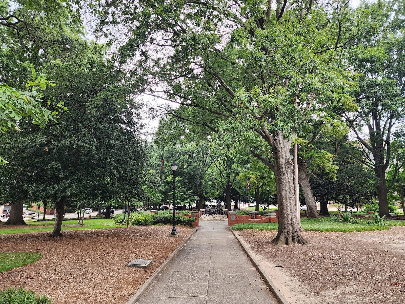 Lush Greenery and Shade