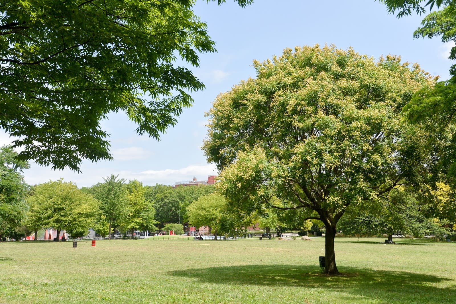 Soundview Park - Image 1