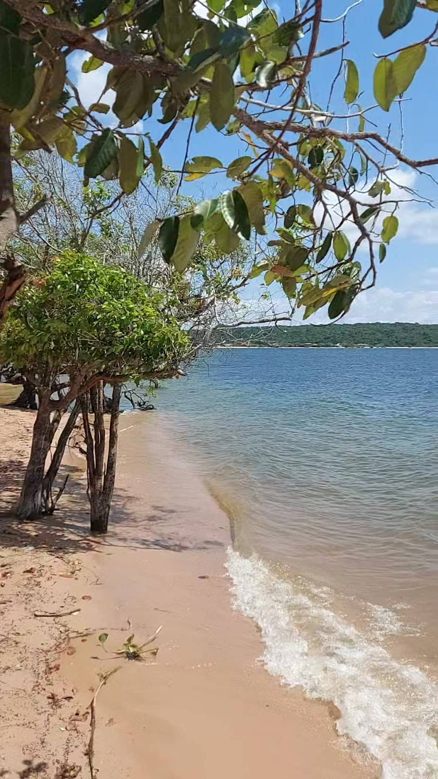 Cenário do Lago do Juá