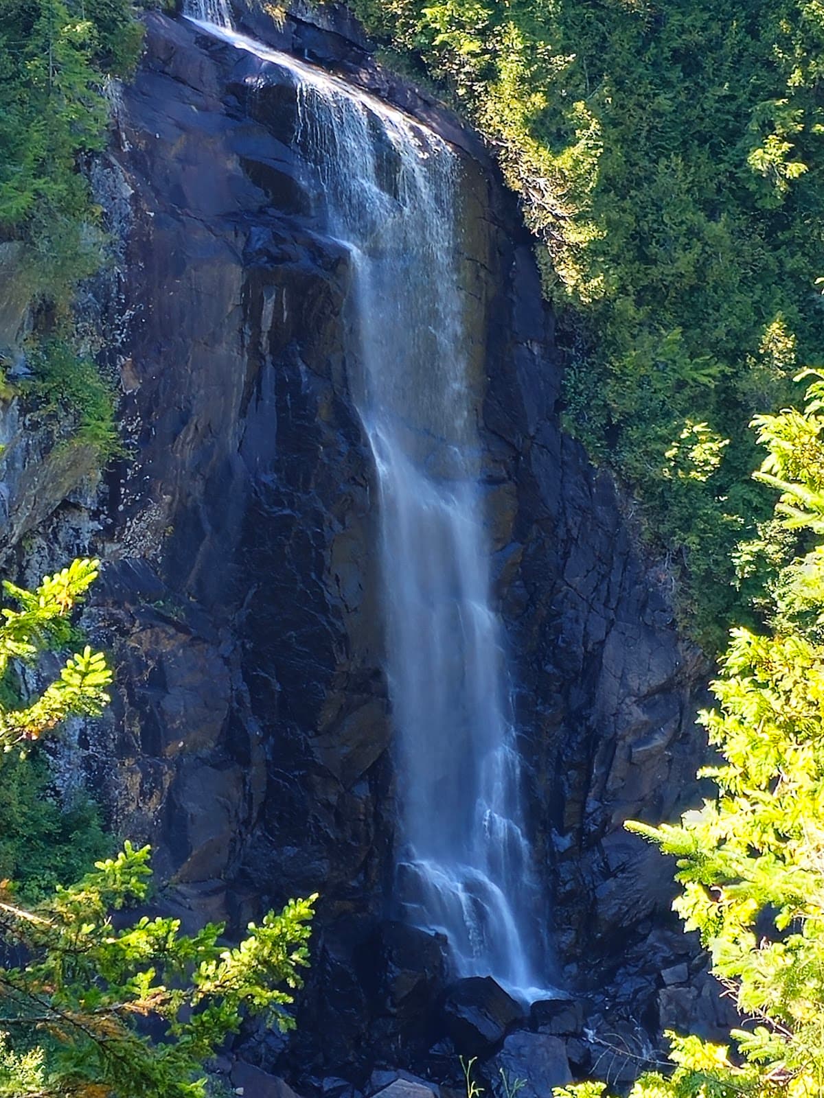 OK Slip Falls - Image 1