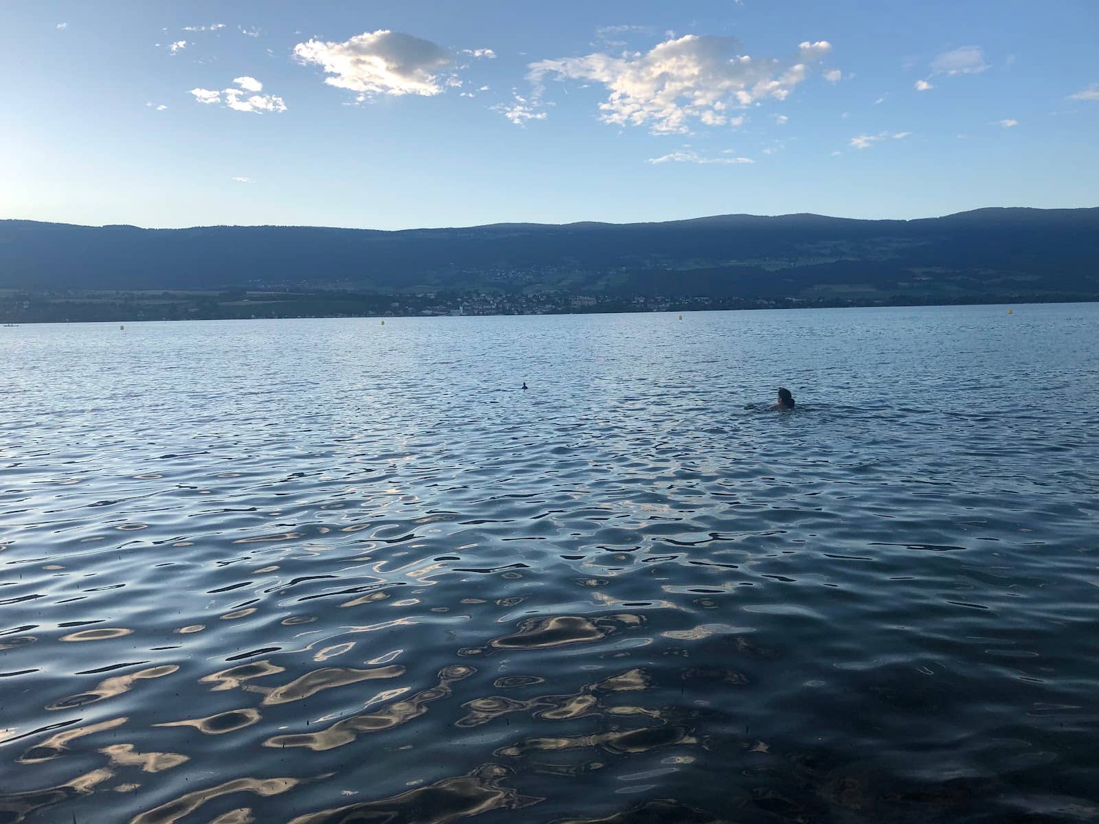 Spacious Grassy Park