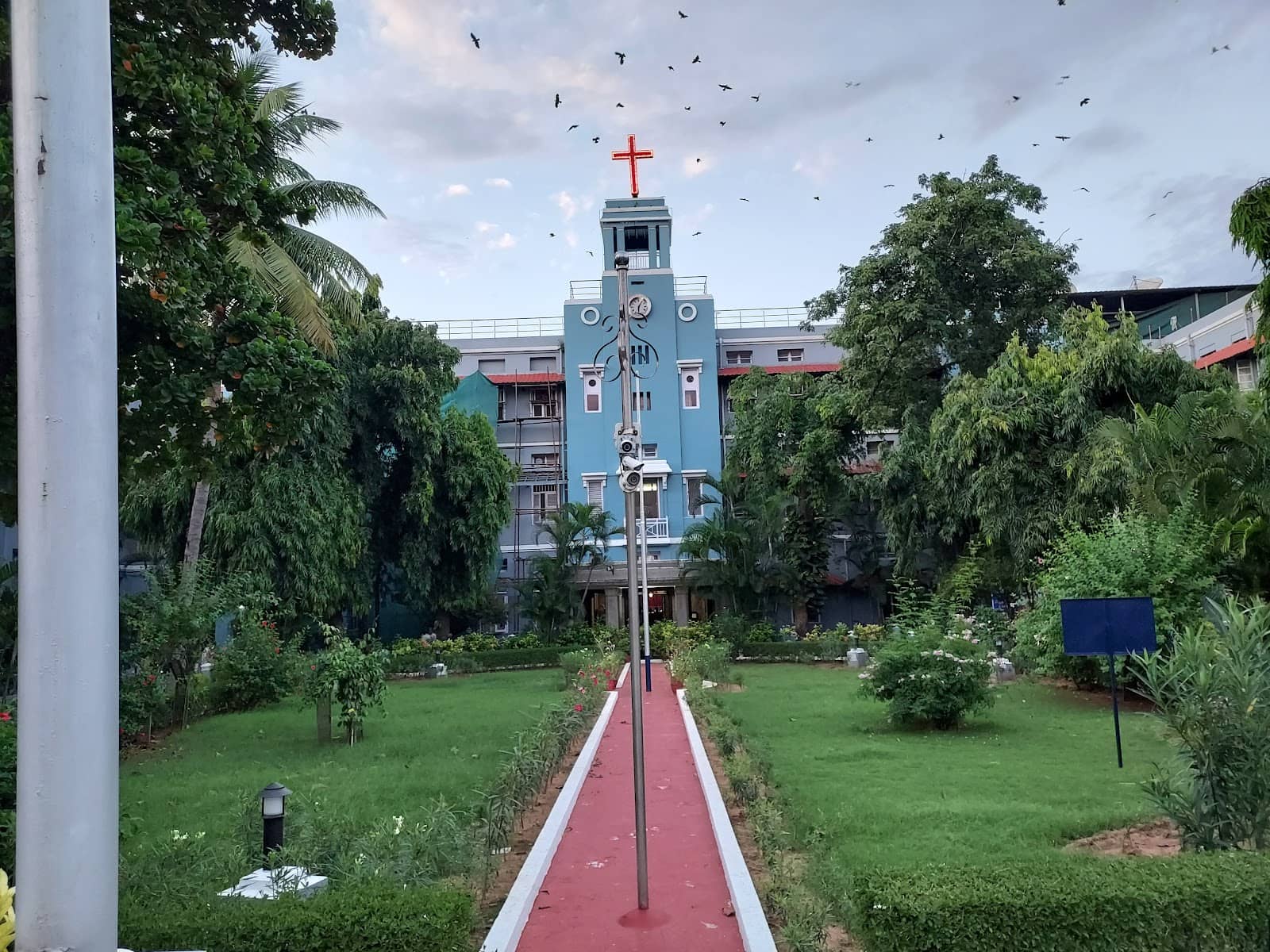Vertical photo