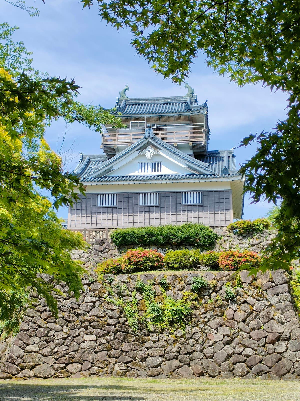 Echizen Ono Castle - Image 1