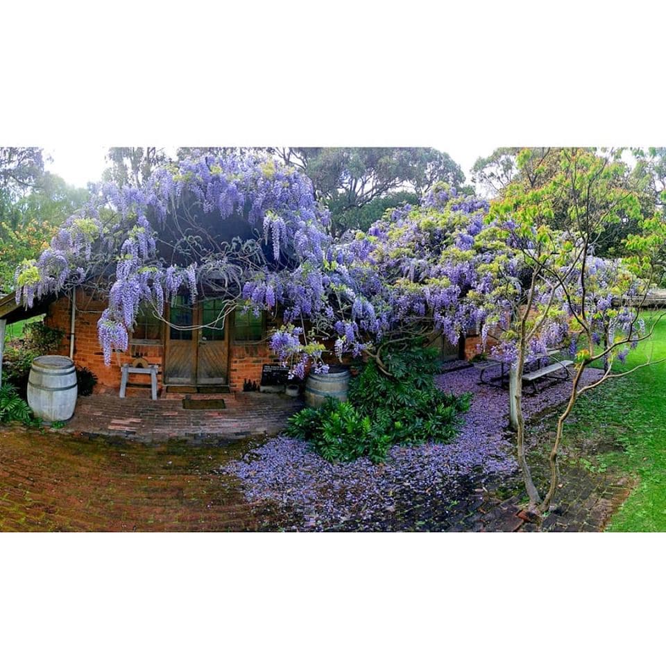 Peel Estate Wines (Karnup) - Image 1