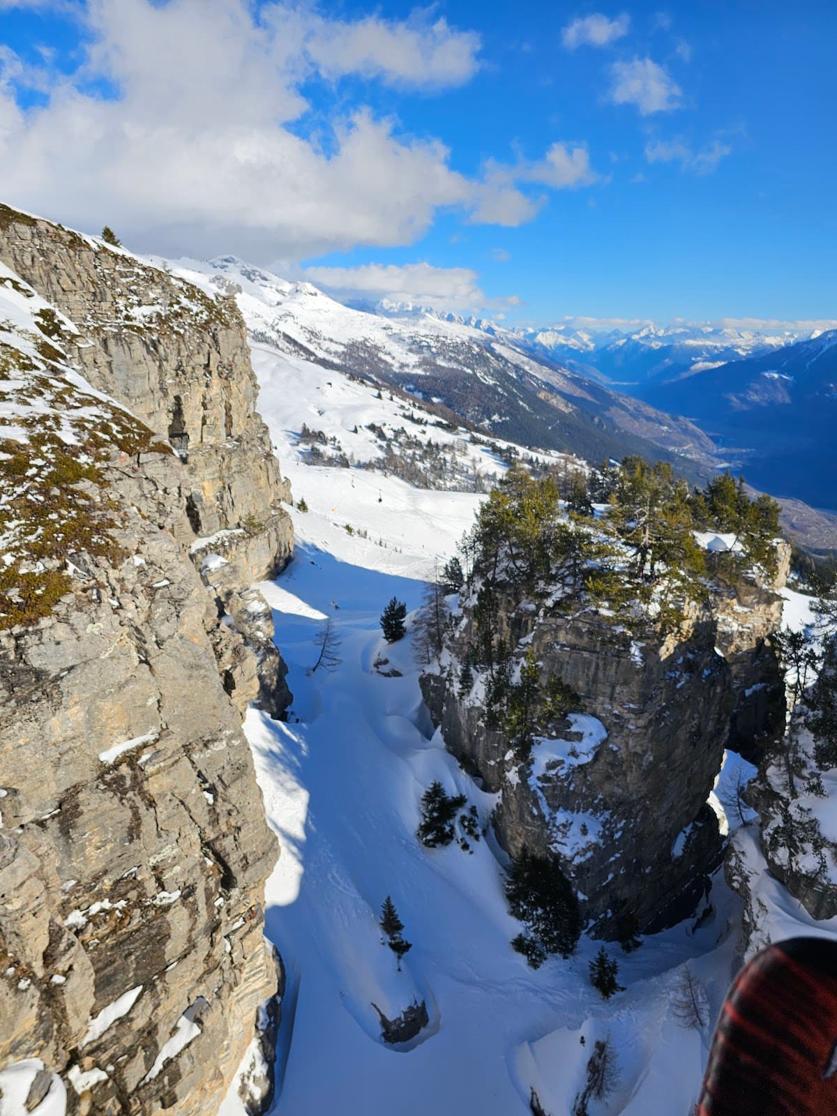 Barzettes–Violettes - Image 1