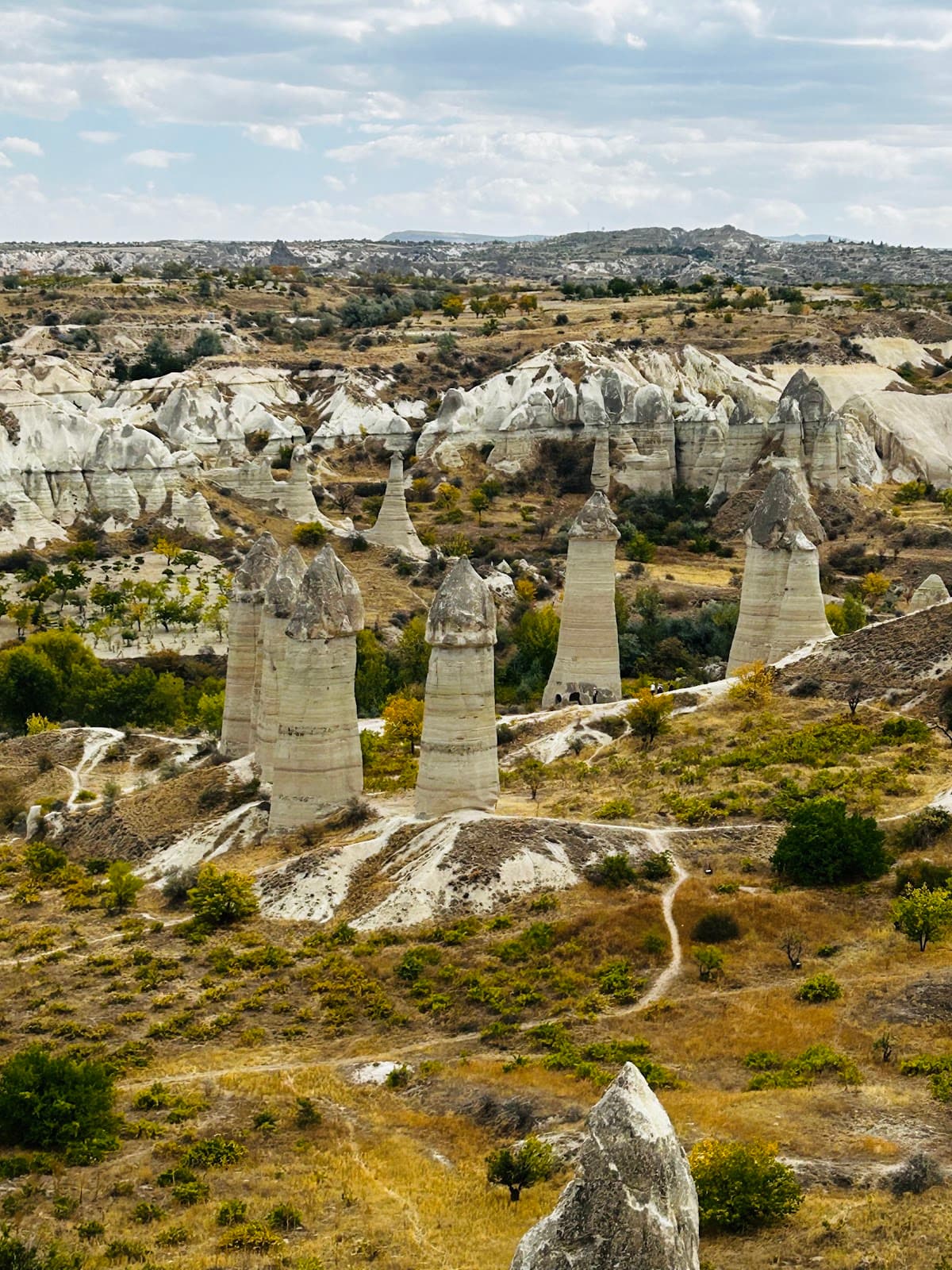 White Valley (Akvadi) - Image 1
