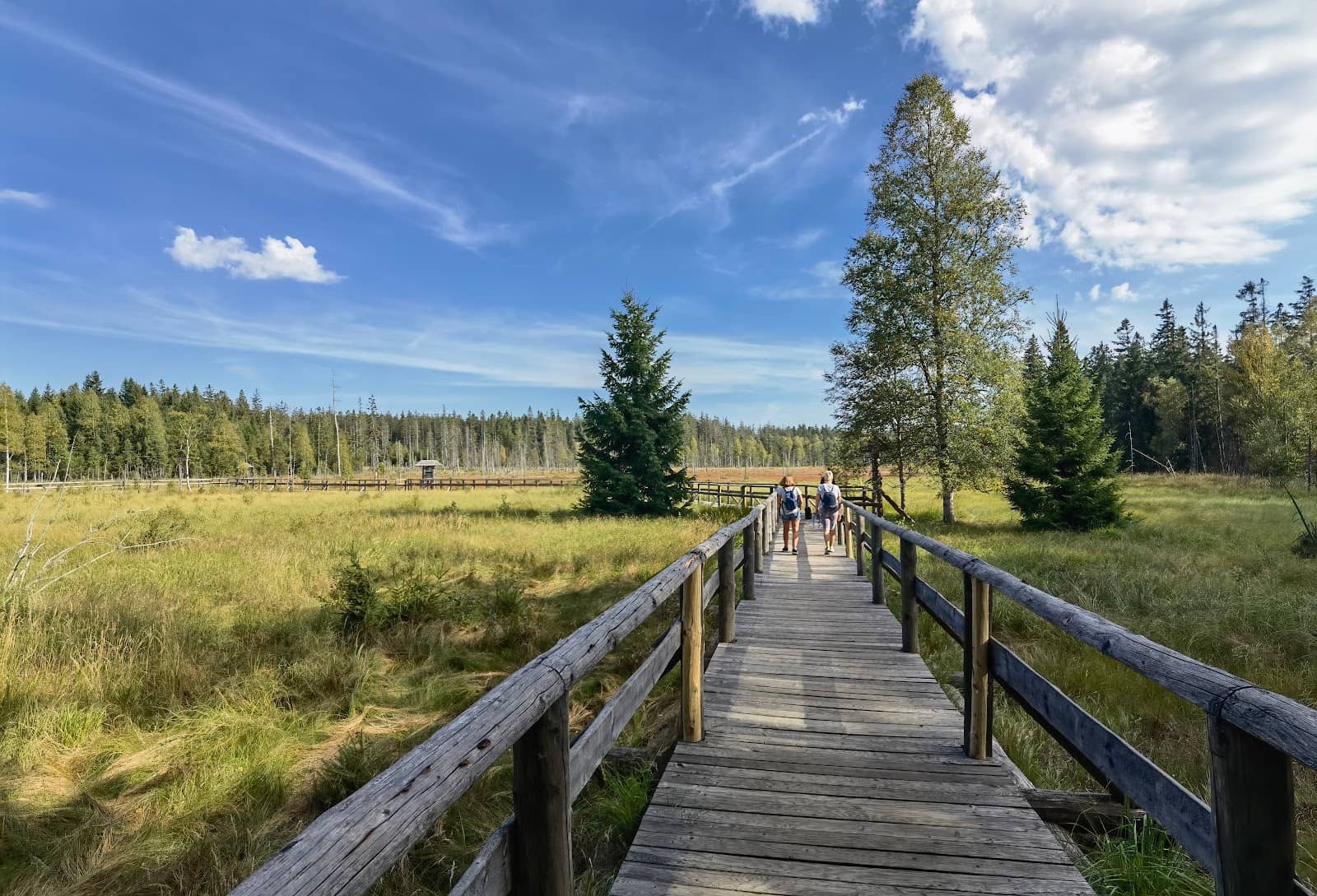Nature and Plant Learning