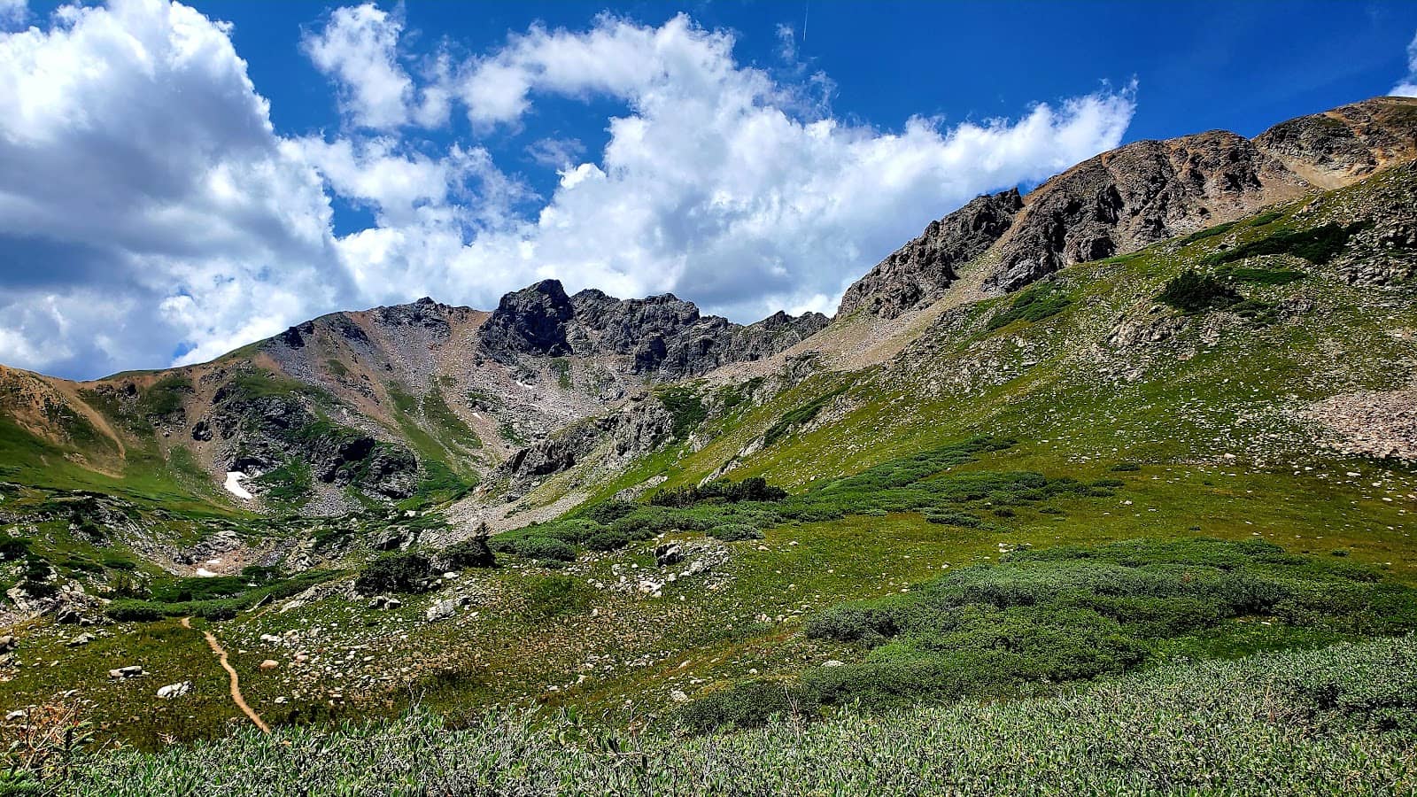 Wildflower Displays