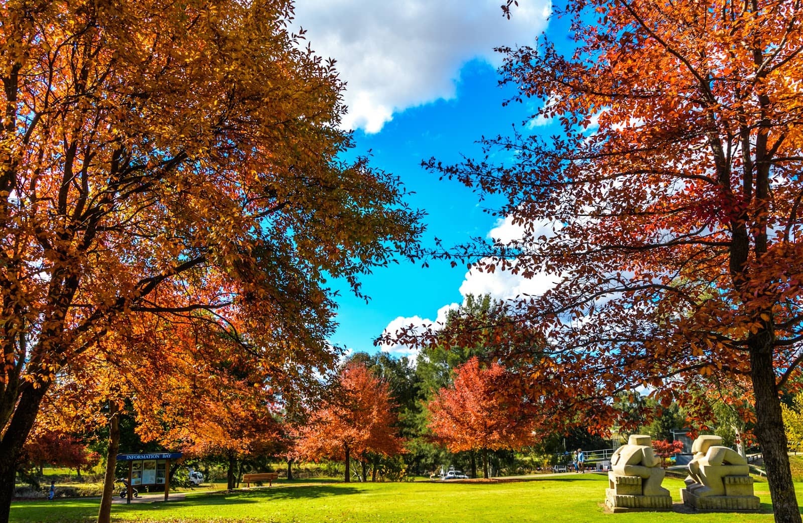 Children's Playground