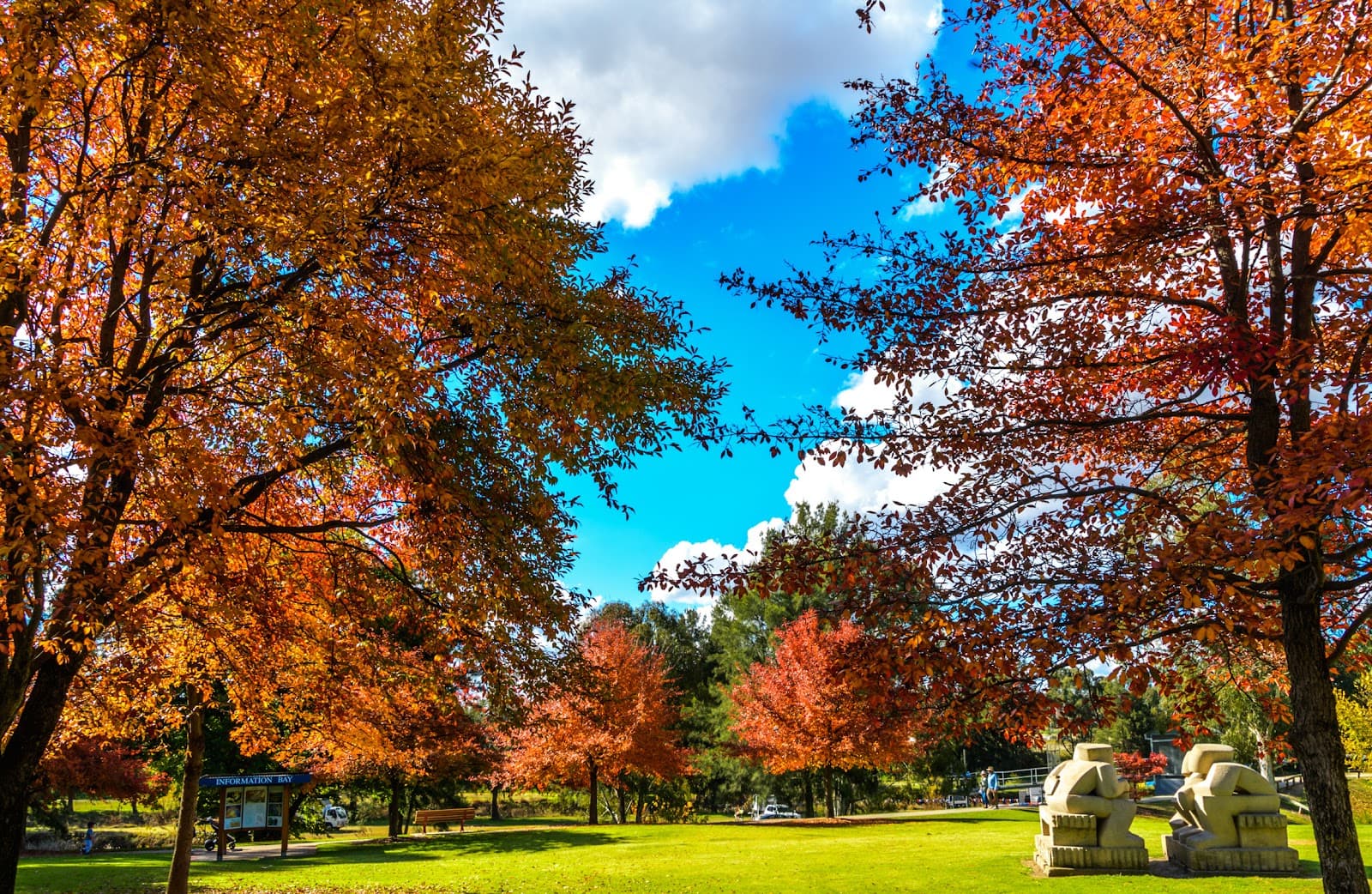 Macquarie River Bicentennial Park - Image 1