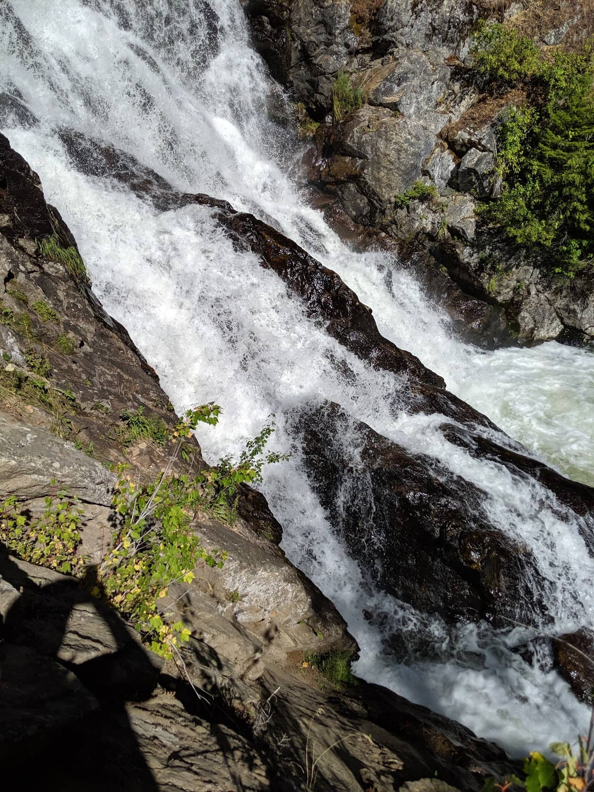 Vertical photo