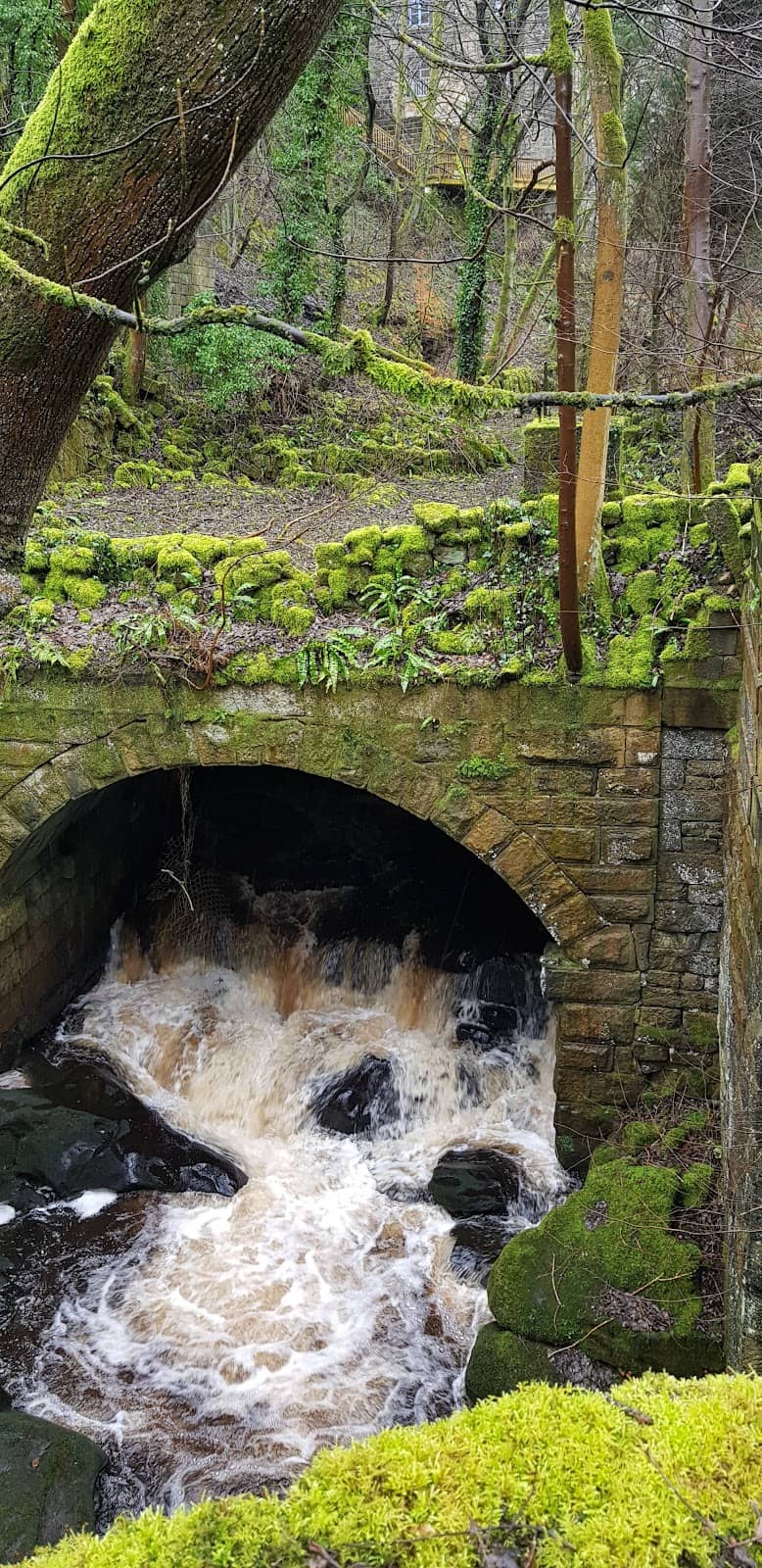 English Goat Cuddles