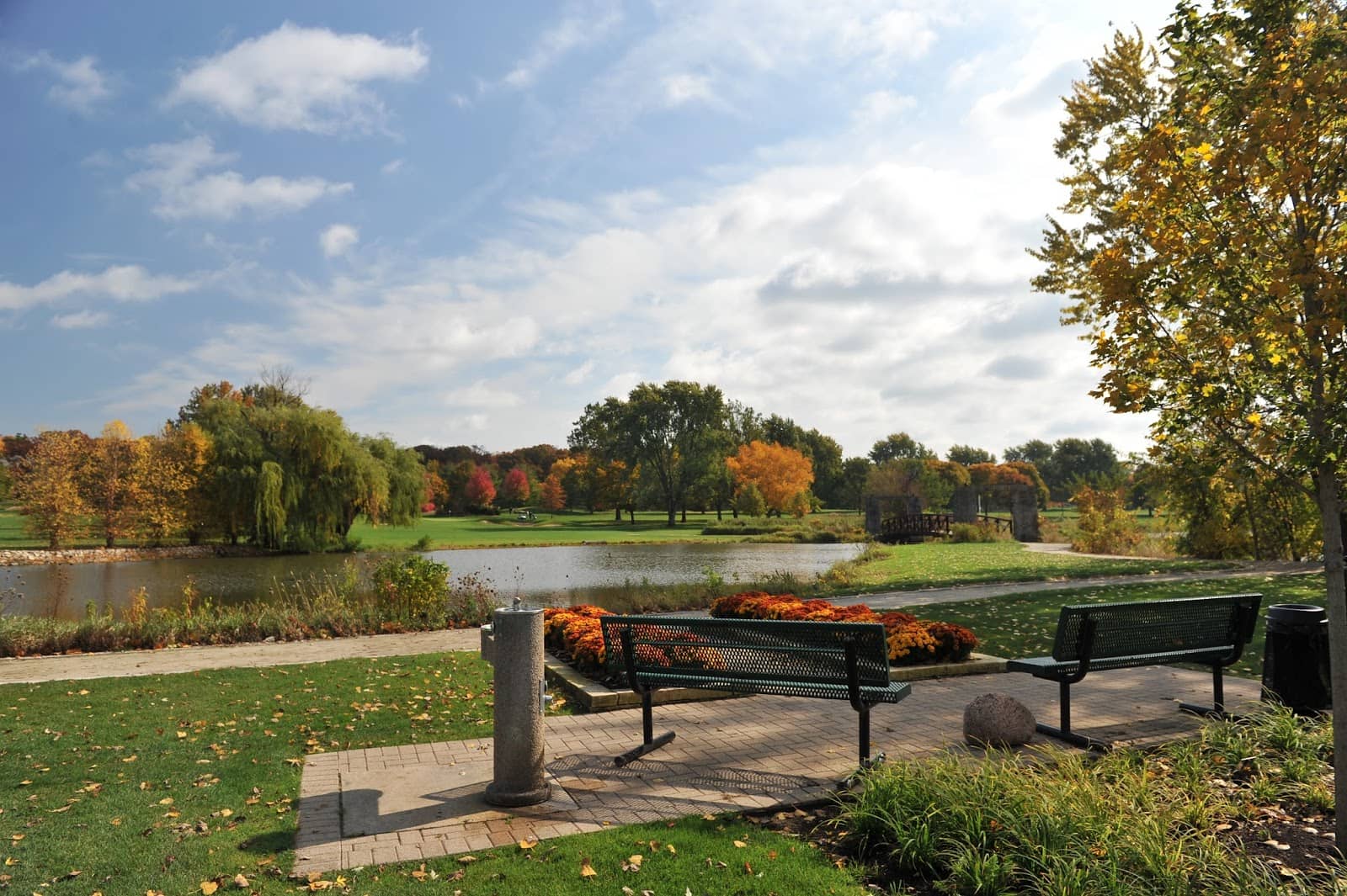 Memorial Trees