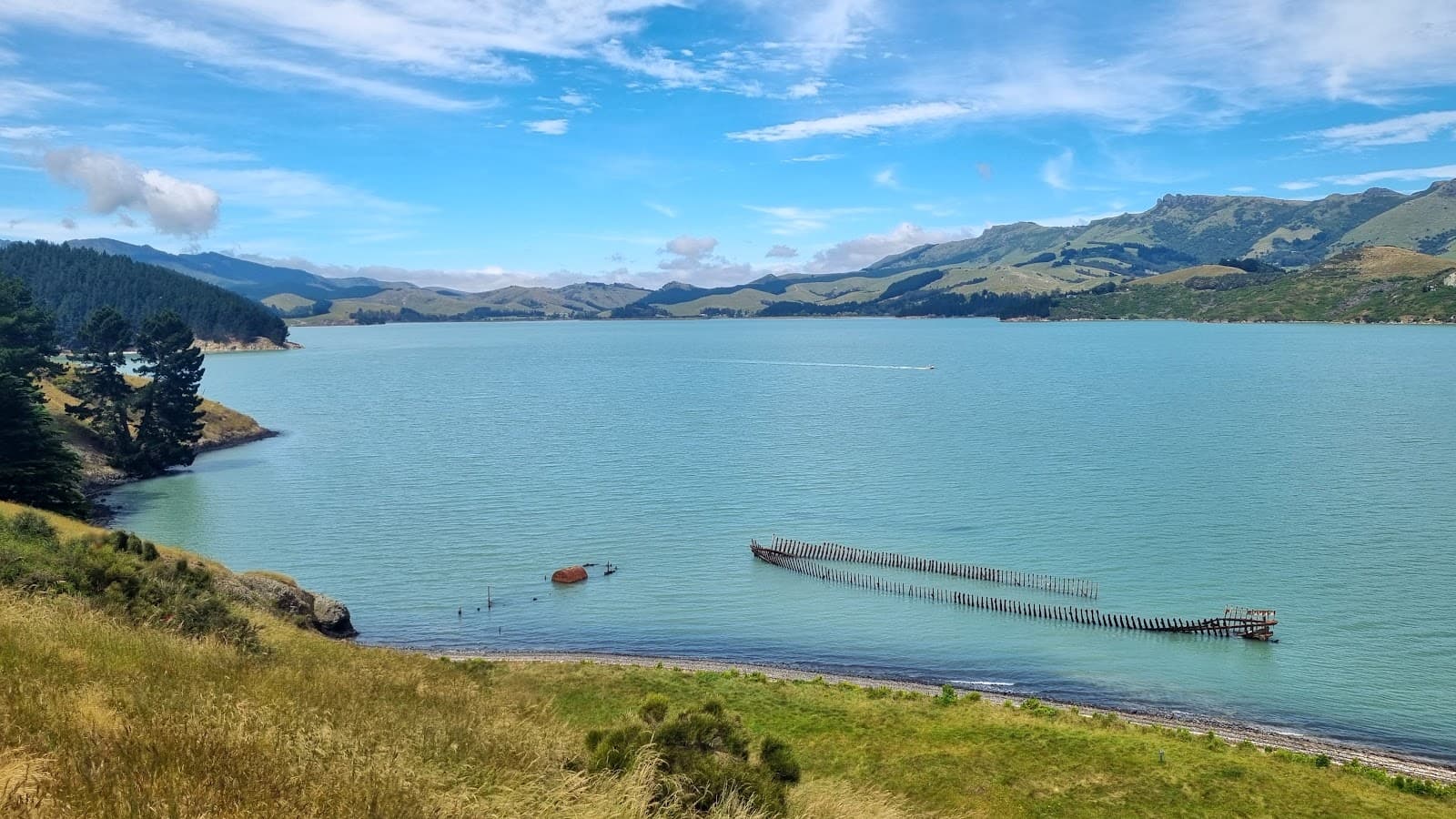 Quail Island / Ōtamahua - Image 1