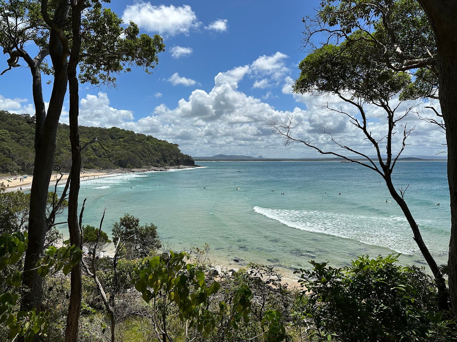 Noosa National Park Coastal Walk - Image 1