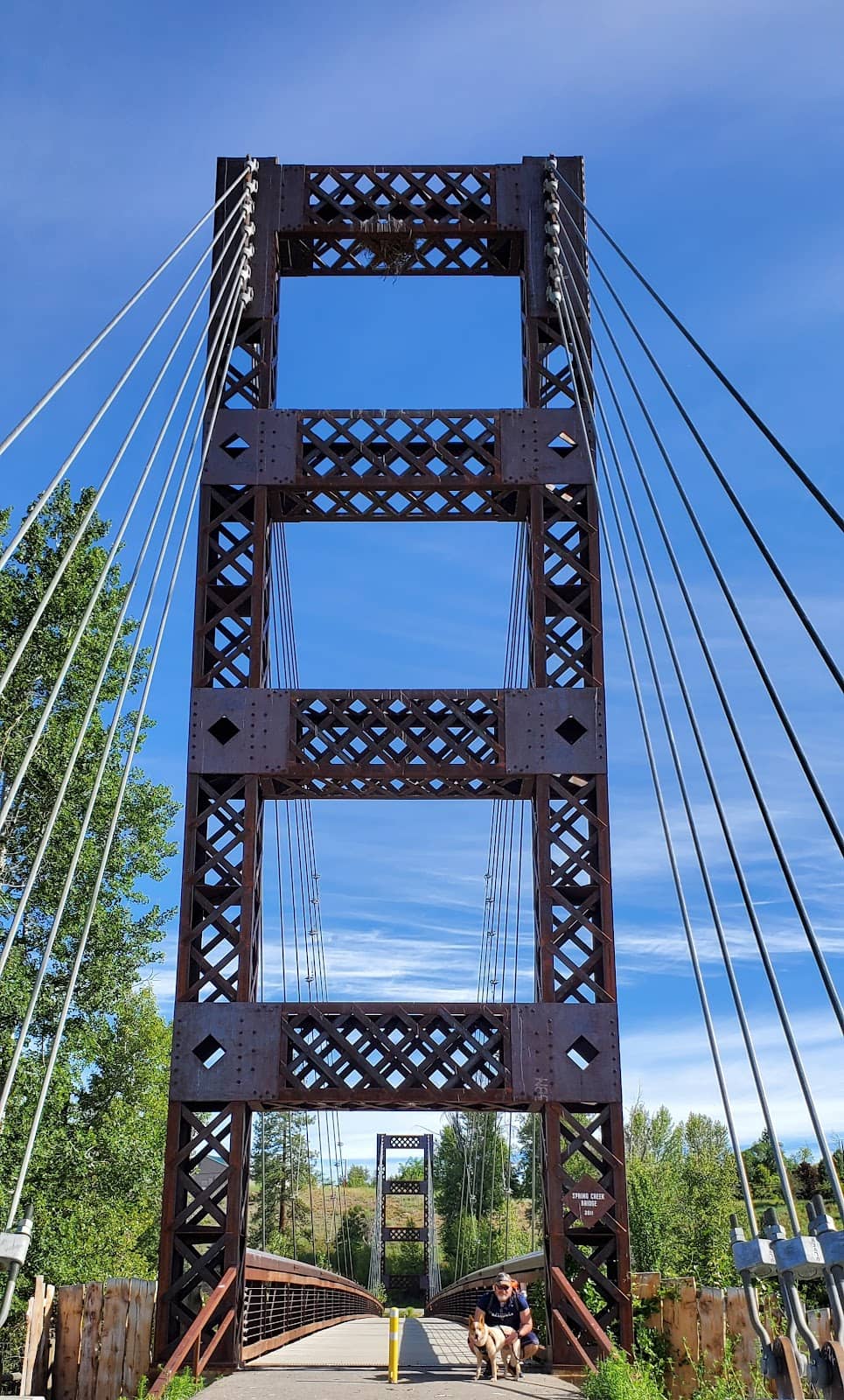 Vertical photo