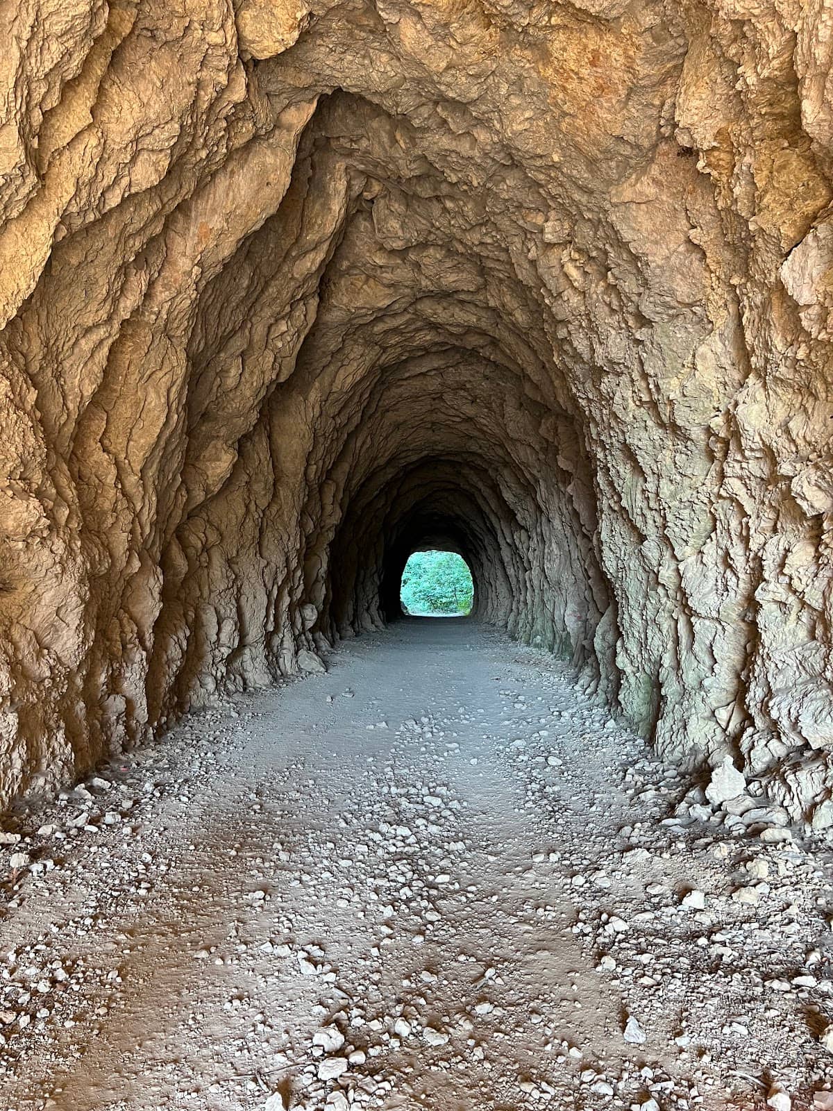 Forest Hiking Trails