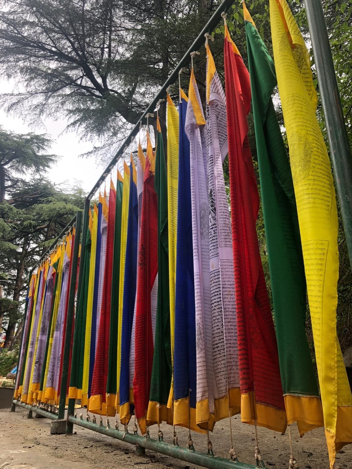 Kora Circuit McLeod Ganj - Image 1