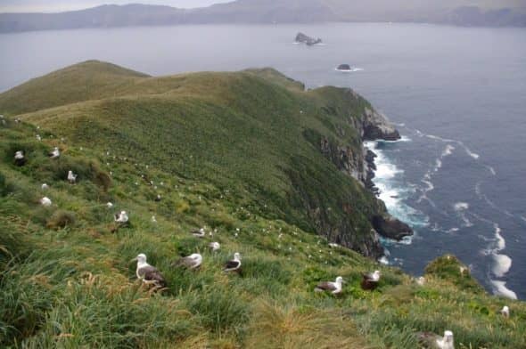 Dramatic Coastal Scenery