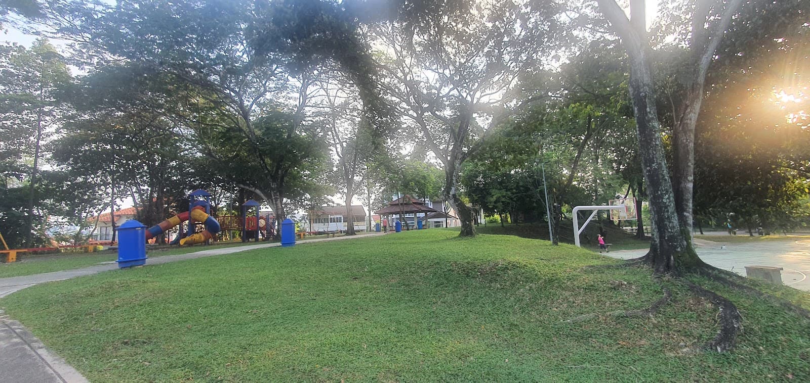 Section 17 Neighborhood - Image 1