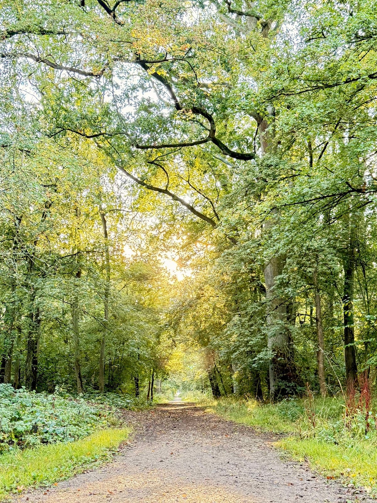 Kings Wood, Corby - Image 1