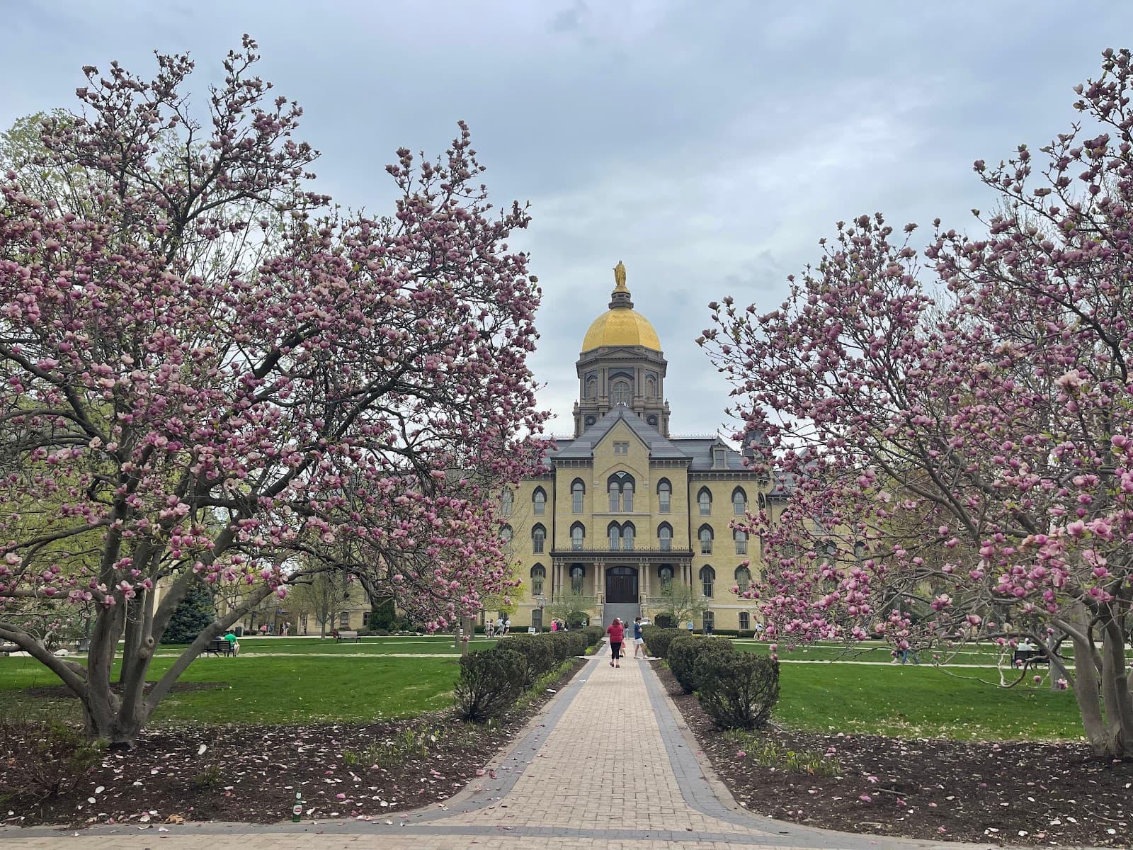 God Quad Main Quadrangle - Image 1