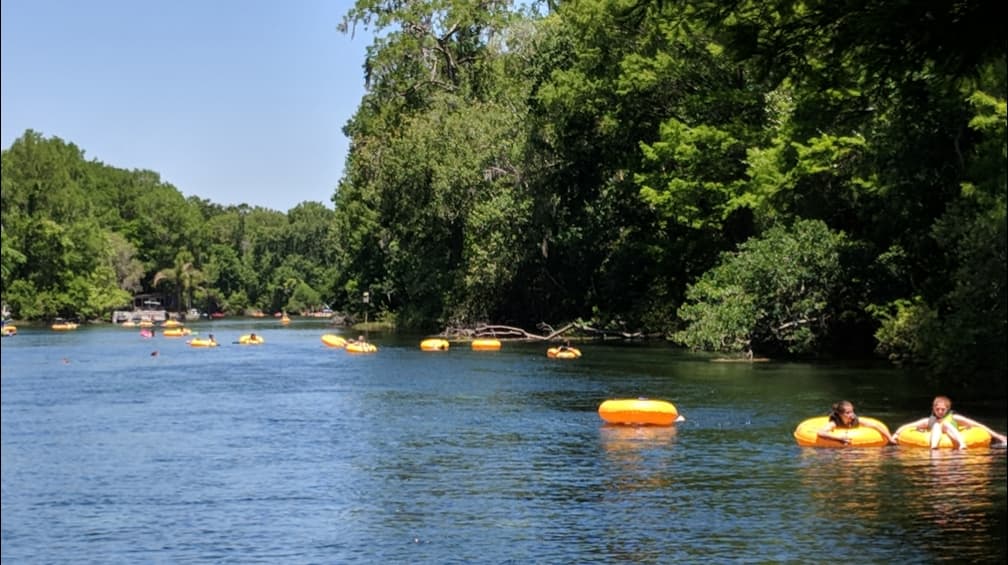 Rainbow Springs State Park β Tubing Entrance - Image 1