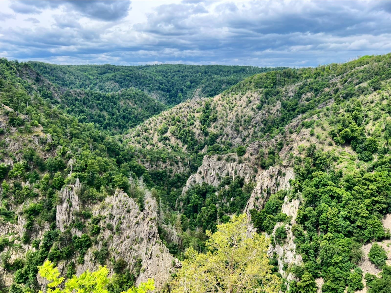 Rosstrappe - Image 1