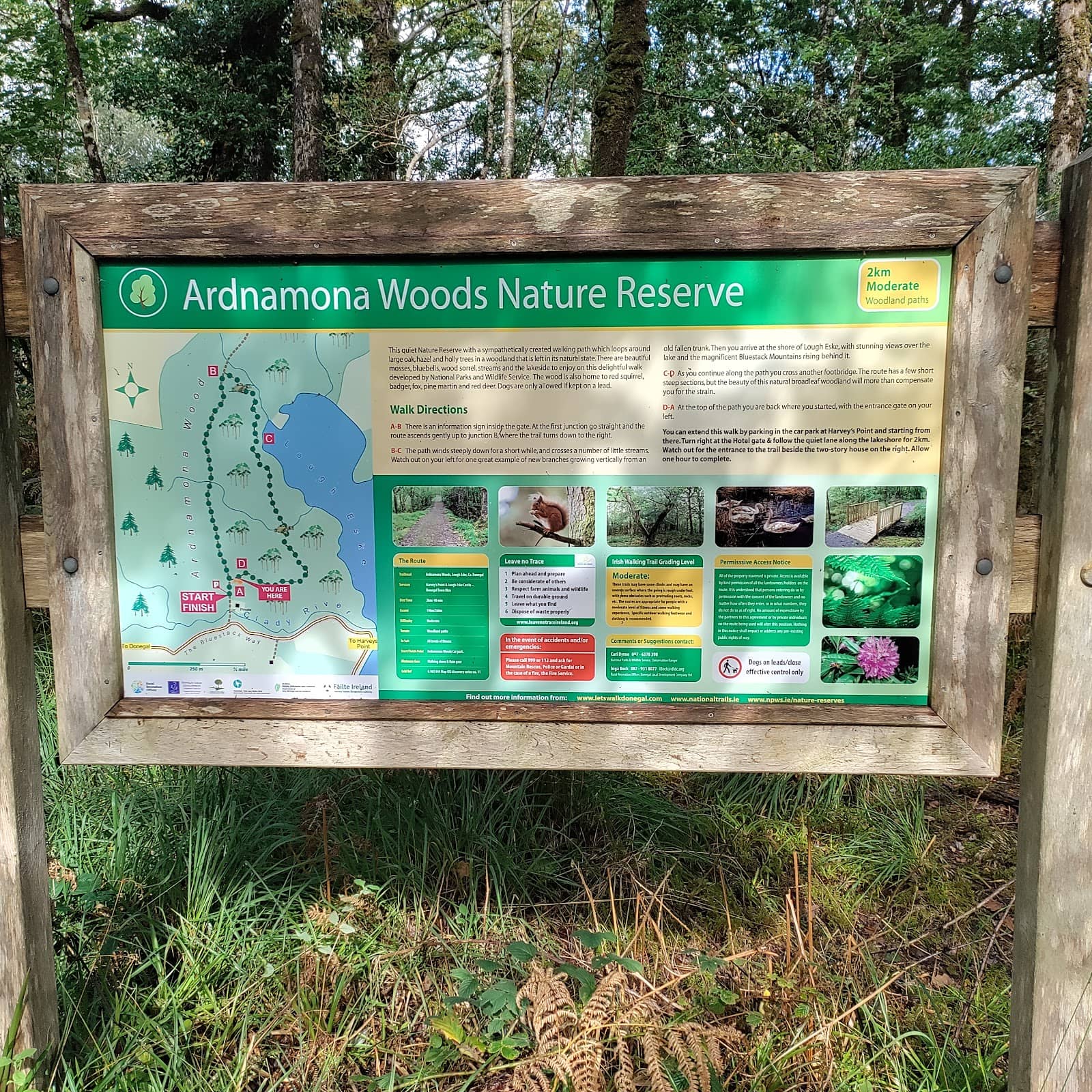 Vertical photo