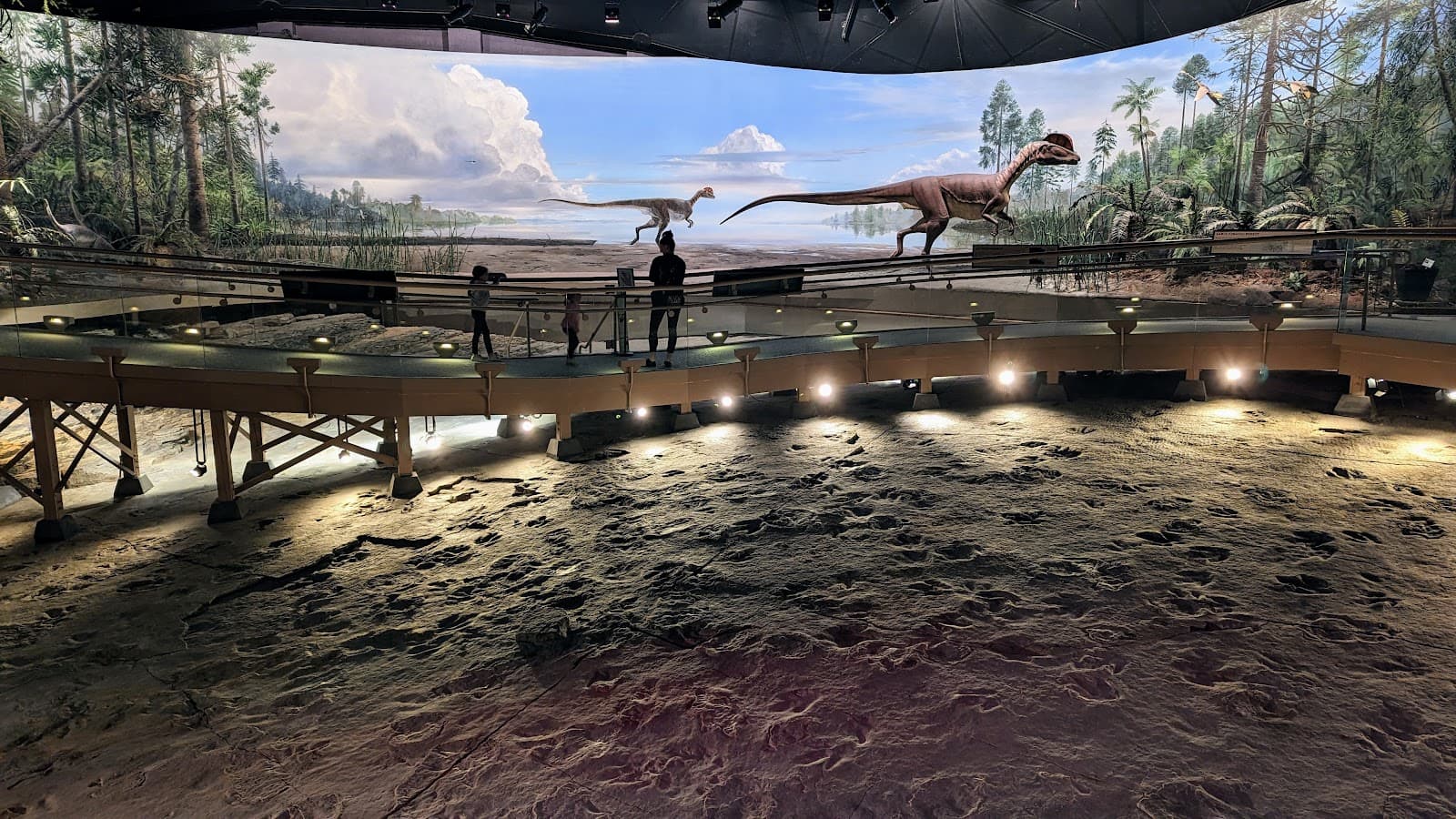 Dinosaur State Park - Image 1