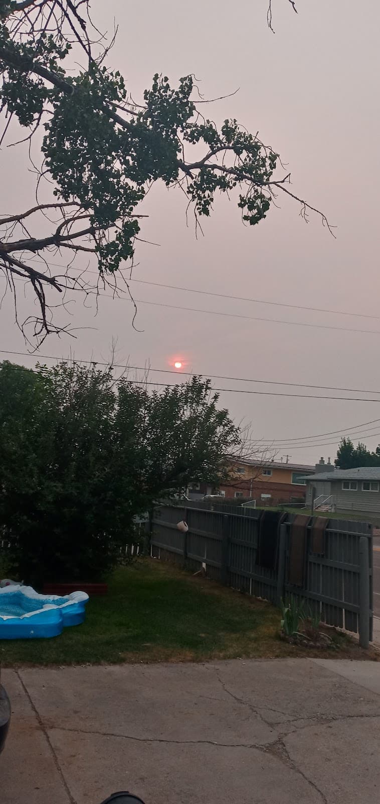 Black Eagle - Image 1