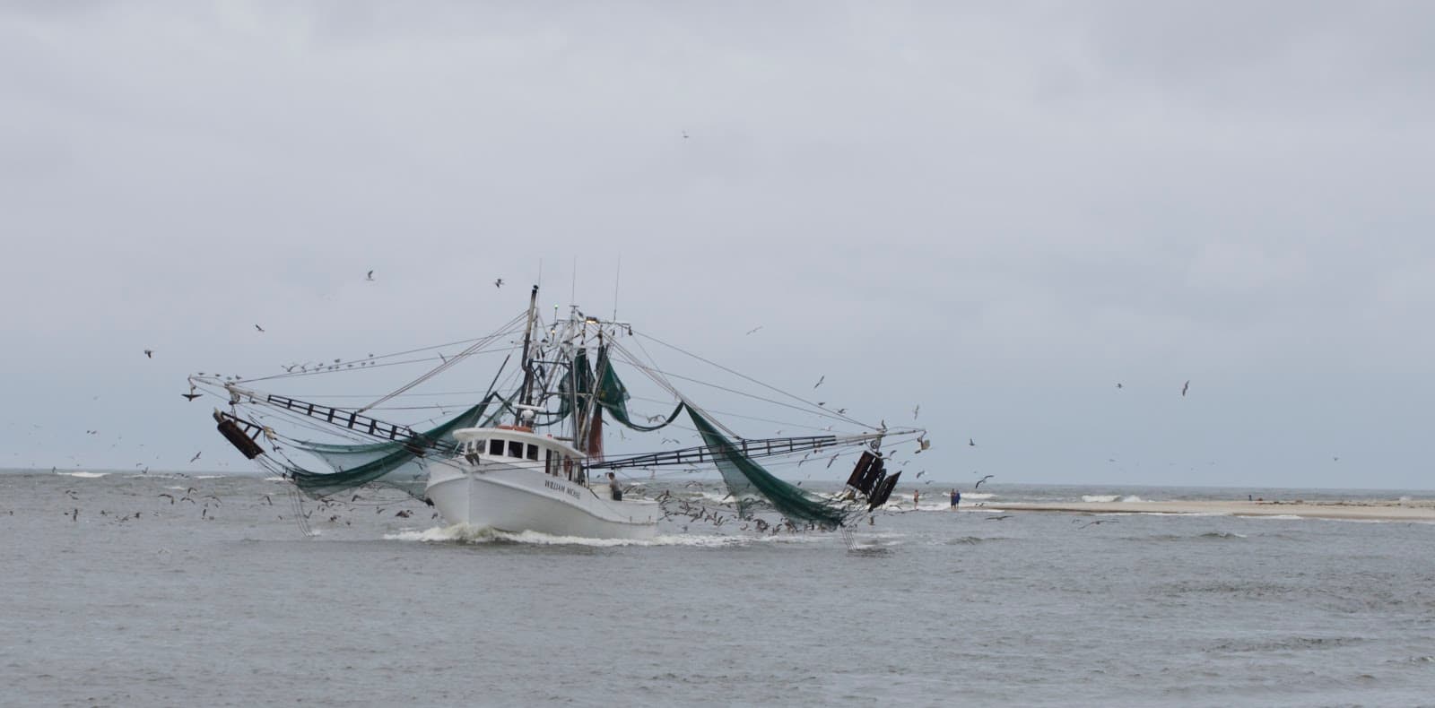 New River Inlet - Image 1