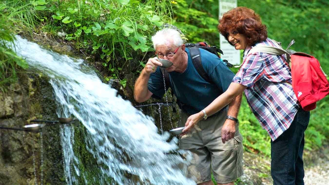 Tscheppaschlucht Zipline
