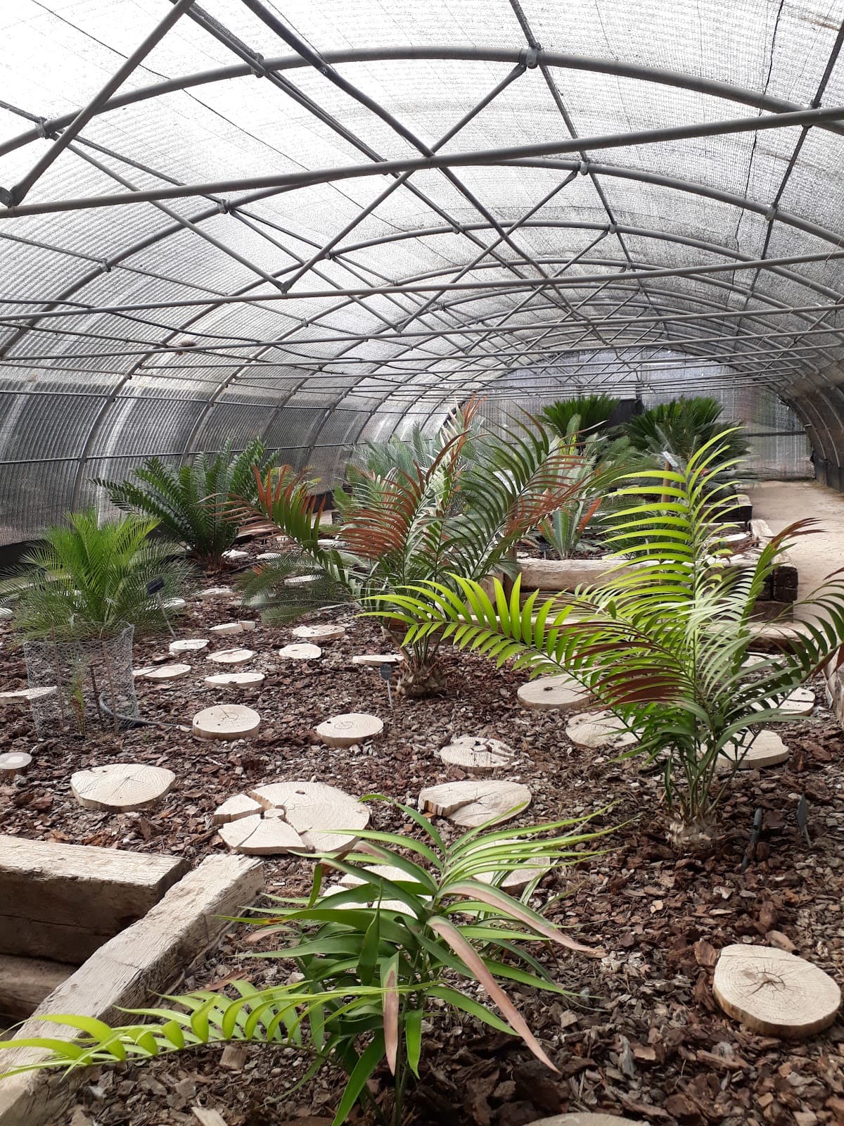 Real Jardín Botánico Juan Carlos I Universidad de Alcalá - Image 1