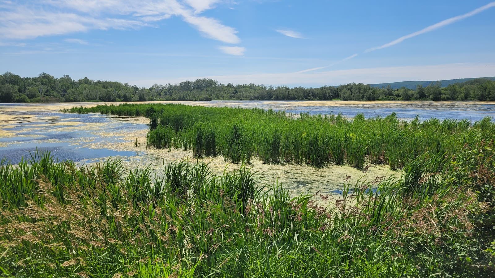 Granville Ferry - Image 1