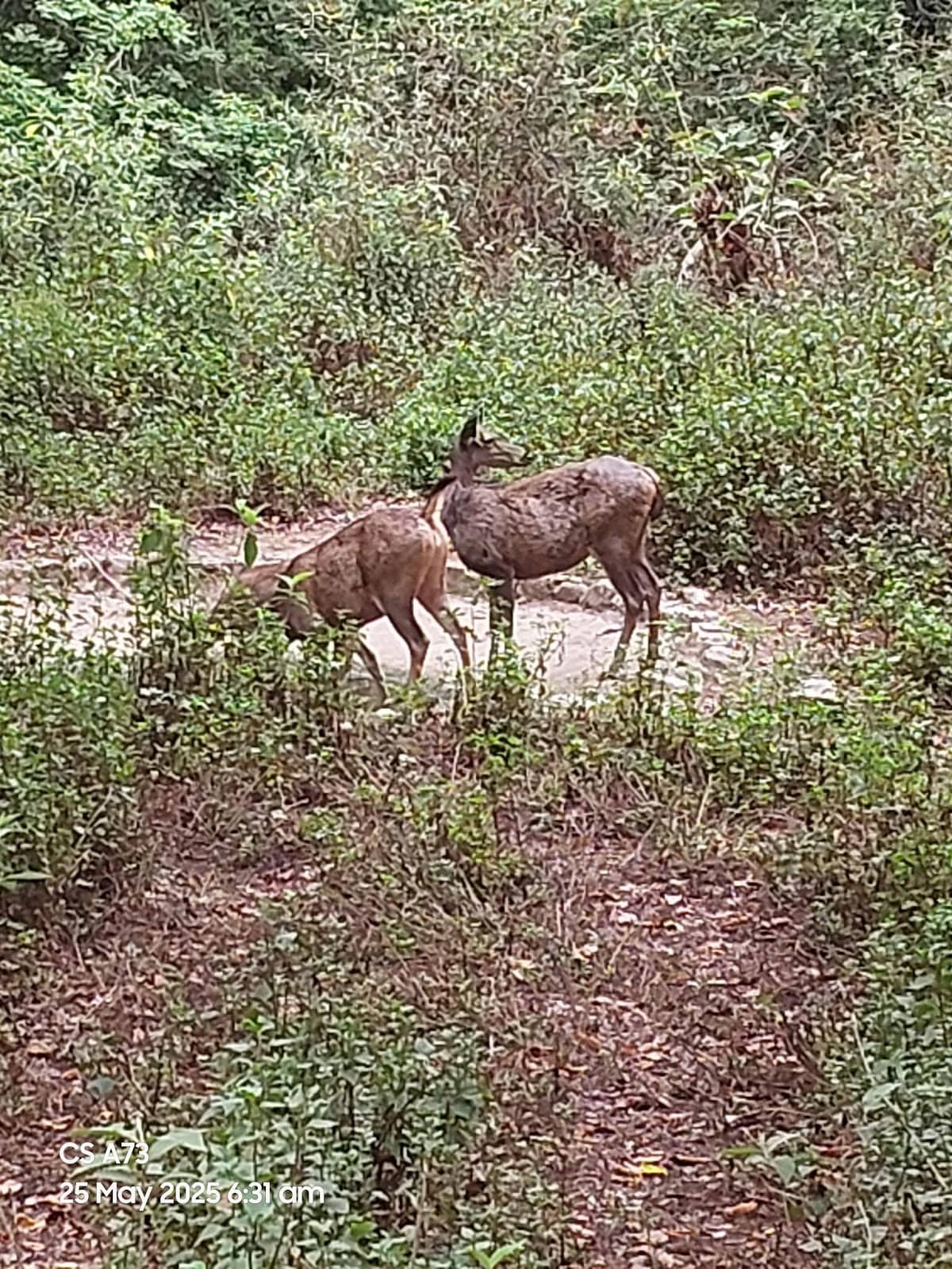 Birdwatching Paradise